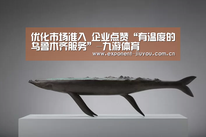 
优化市场准入 企业点赞“有温度的乌鲁木齐服务”-九游体育