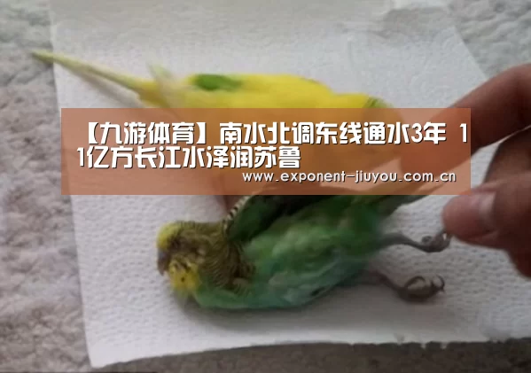 九游体育