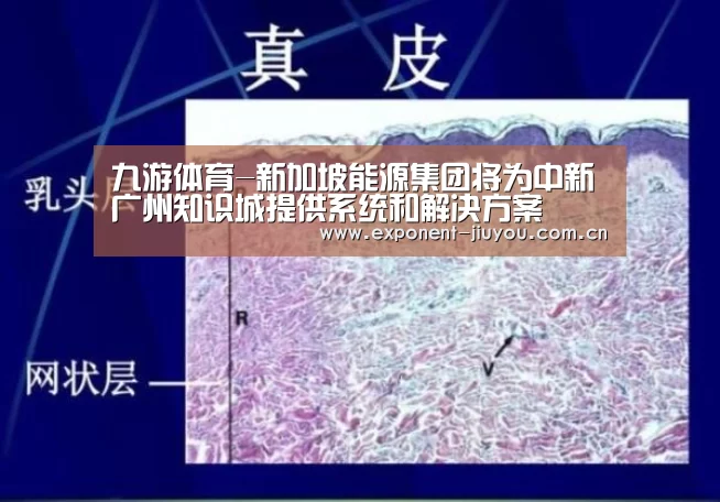 九游体育-新加坡能源集团将为中新广州知识城提供系统和解决方案