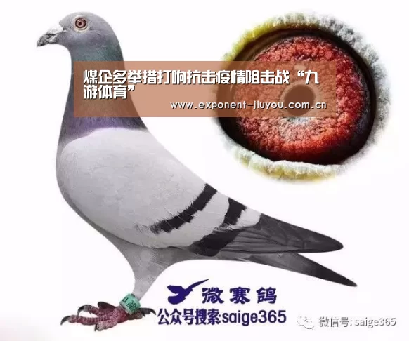 九游体育