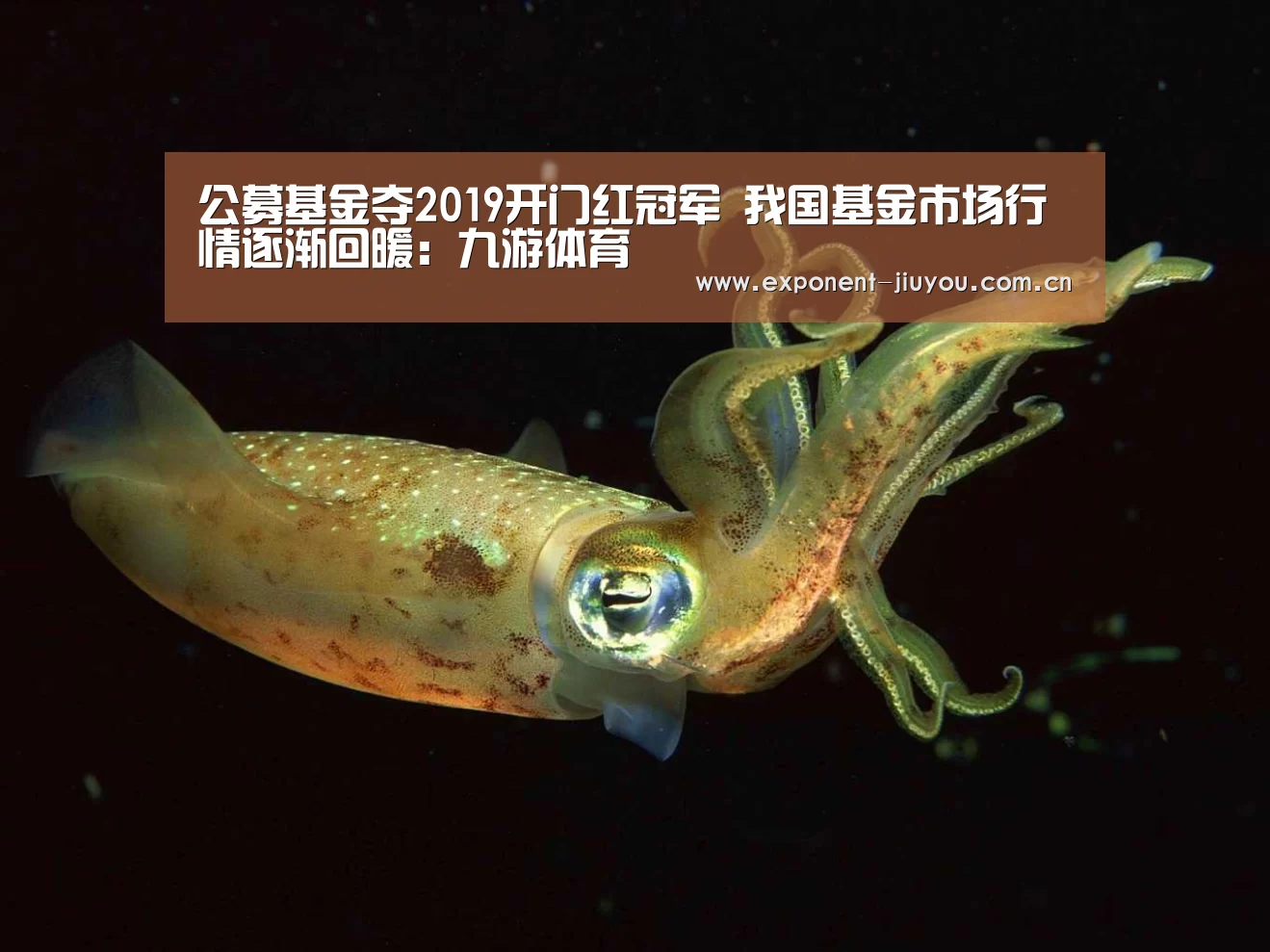 公募基金夺2019开门红冠军 我国基金市场行情逐渐回暖：九游