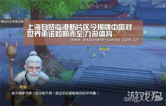 上海自贸临港新片区今揭牌中国对世界承诺如期而至|九游体育(图2) 九游体育