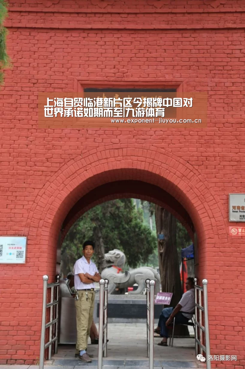 上海自贸临港新片区今揭牌中国对世界承诺如期而至|九游体育(图3) 九游体育